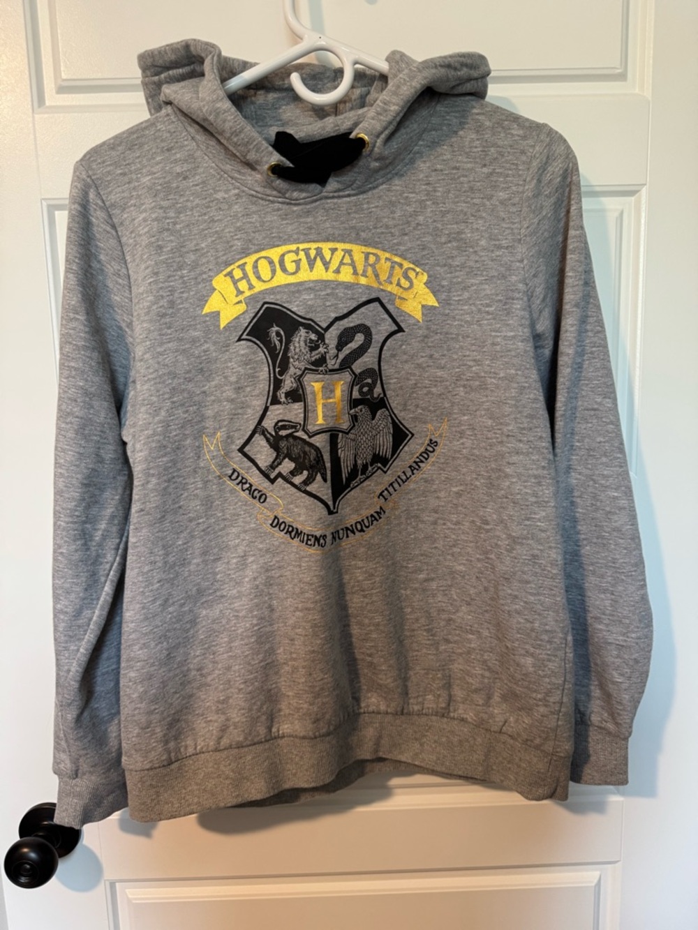 Wizarding World Harry Potter Hogwarts Hoodie, Gray, Black/Gold Graphic, Size M